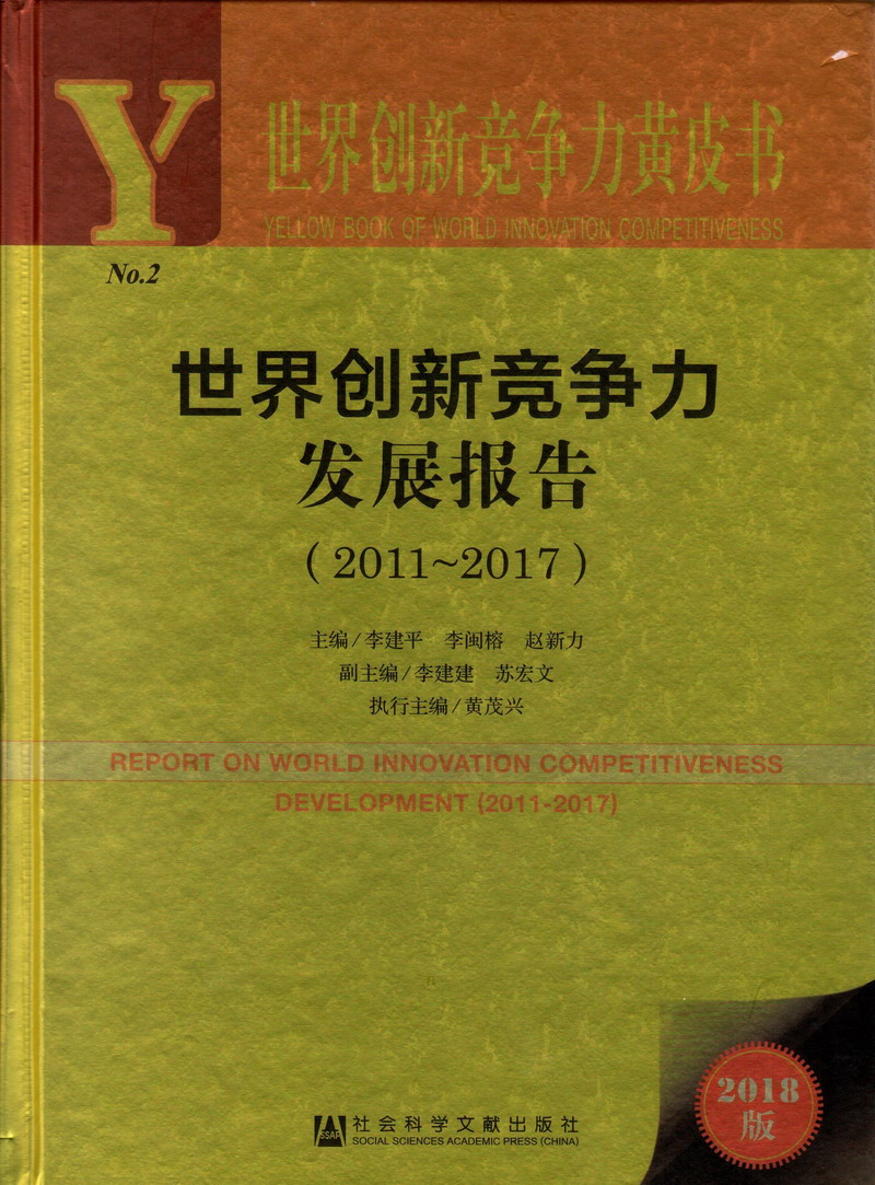 女生c捅网站世界创新竞争力发展报告（2011-2017）